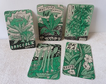 Veggie Seeds Mini Art Print Set