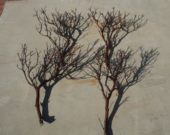 Tree Branch Wedding Centerpiece Etsy
