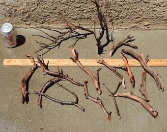 aquarium driftwood etsy