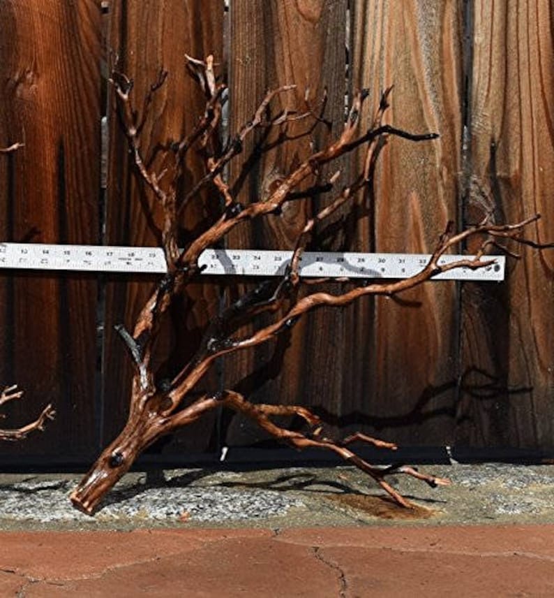 1620 manzanita driftwood buy