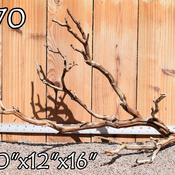 Xlg Manzanita Driftwood aquarium centerpiece WYSIWYG Multiple choices