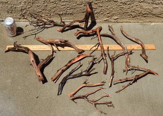 manzanita driftwood nano group 13 pieces moss plant aquarium etsy