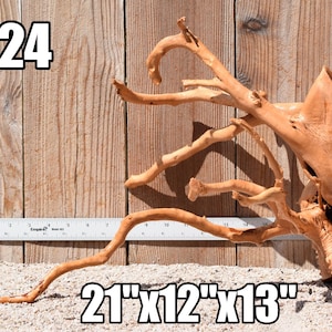 Spiderwood Driftwood aquarium centerpiece WYSIWYG ( moss plant aquarium ) Multiple choices Spiderwood 3124