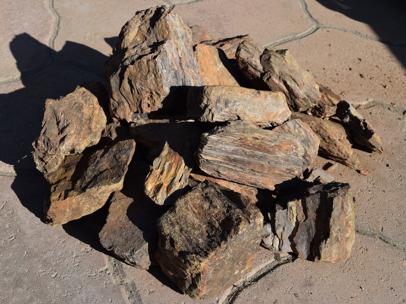 PETRIFIED WOOD great aquarium decor or Bonsai stones image 4