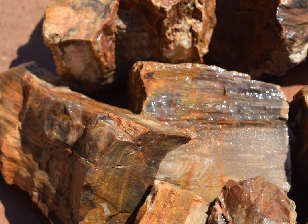 PETRIFIED WOOD 2 Great Aquarium Decor or Bonsai Stones Etsy