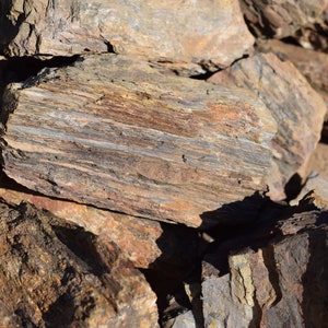 PETRIFIED WOOD great aquarium decor or Bonsai stones image 5