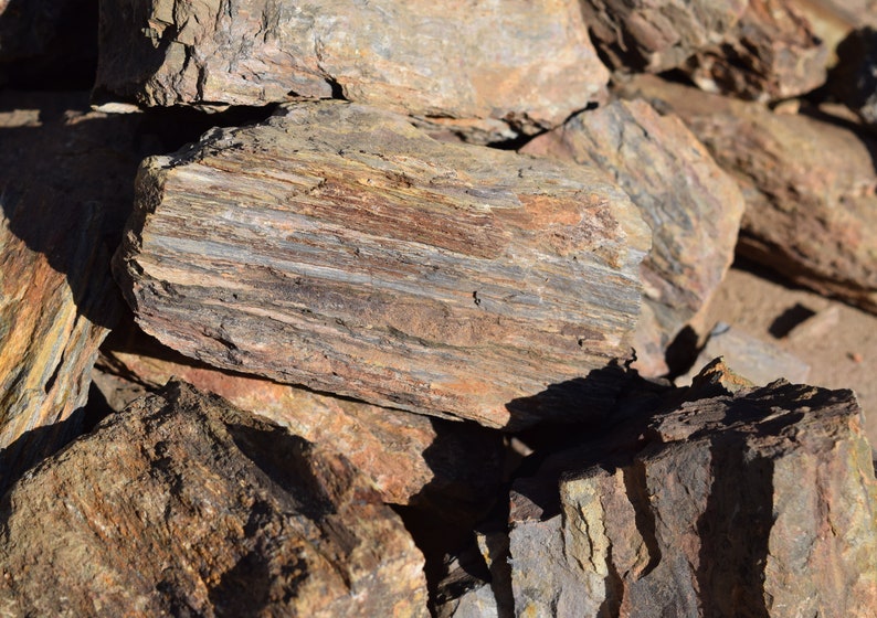 PETRIFIED WOOD great aquarium decor or Bonsai stones image 5