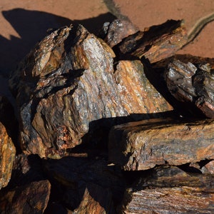 PETRIFIED WOOD great aquarium decor or Bonsai stones image 1