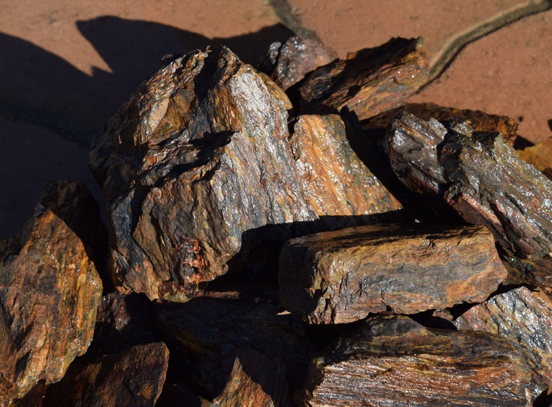 PETRIFIED WOOD great aquarium decor or Bonsai stones image 1