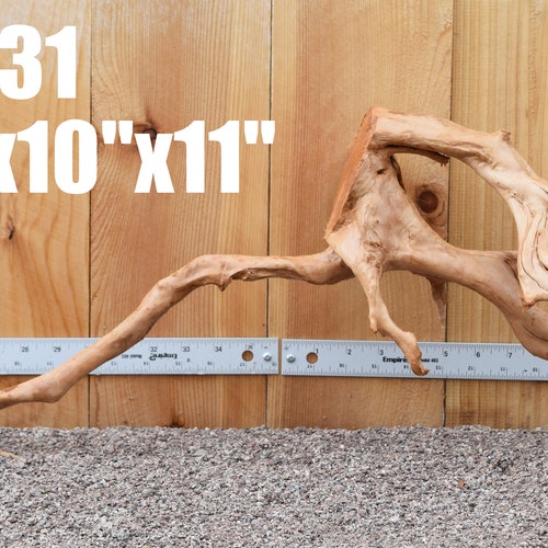 MANZANITA Driftwood Aquarium Centerpiece WYSIWYG Moss Plant Etsy