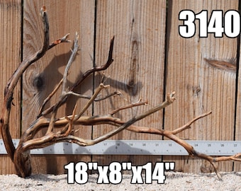 MANZANITA Driftwood aquarium centerpiece WYSIWYG ( moss plant aquarium ) Multiple choices