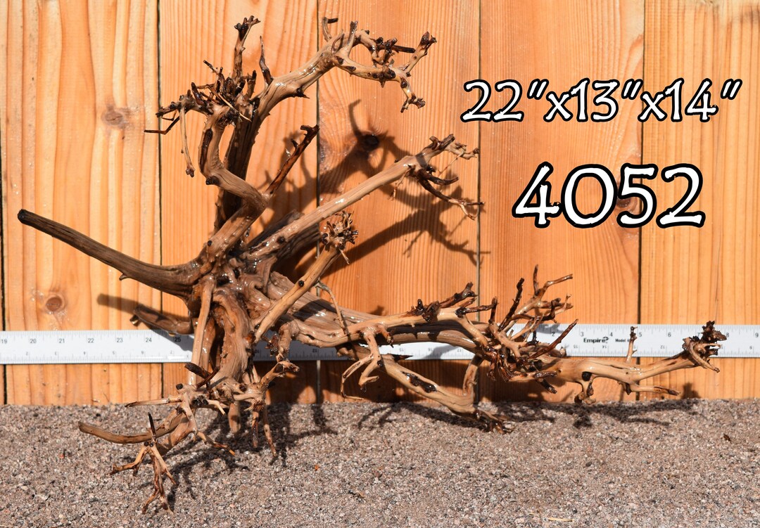 Tigerwood Driftwood Aquarium Centerpiece WYSIWYG Moss Plant Etsy