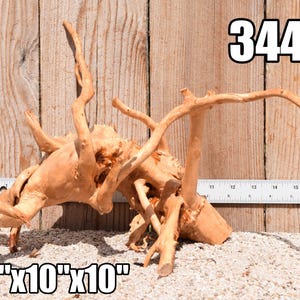 Spiderwood Driftwood aquarium centerpiece WYSIWYG ( moss plant aquarium ) Multiple choices Spiderwood 3446