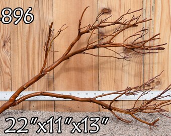 MANZANITA Driftwood aquarium centerpiece (Natural Red) WYSIWYG ( moss plant aquarium ) Multiple choices