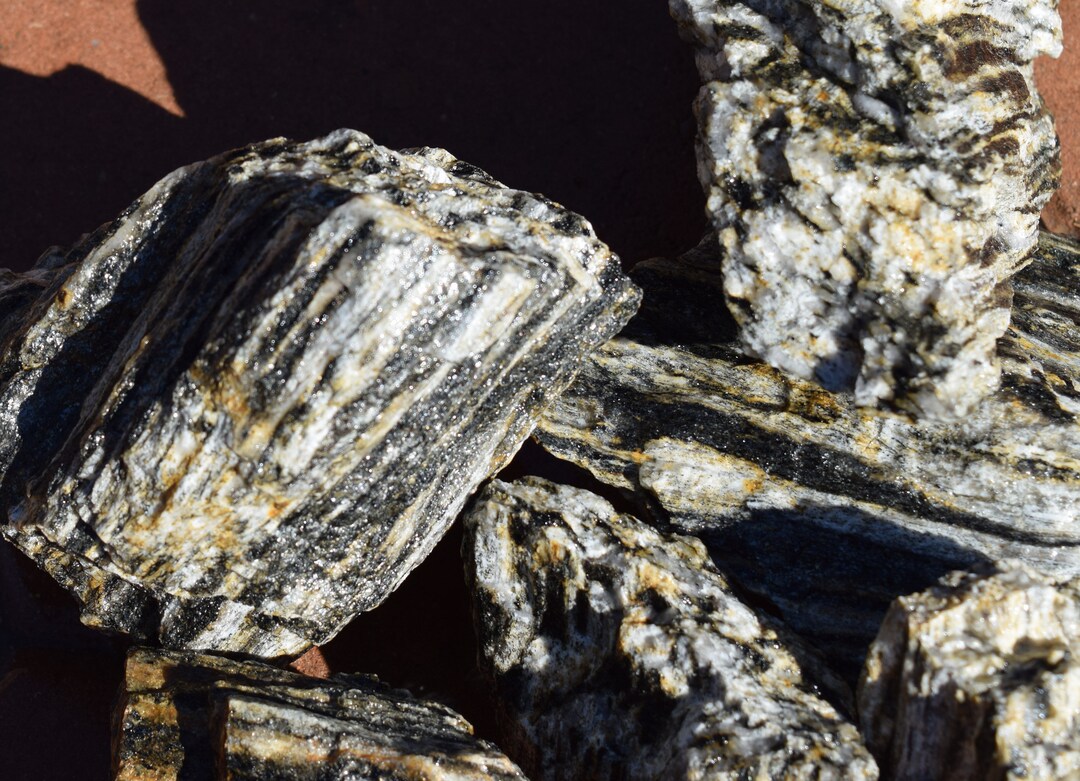 BLUE PETRIFIED WOOD Great Aquarium Decor or Bonsai Stones Etsy