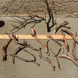 MANZANITA DRIFTWOOD mini nano group 10 pieces ( moss plant aquarium )