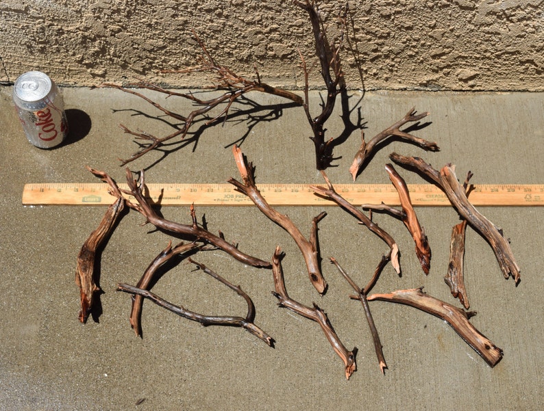 MANZANITA DRIFTWOOD Mini Nano Group 10 Pieces Moss Plant Etsy