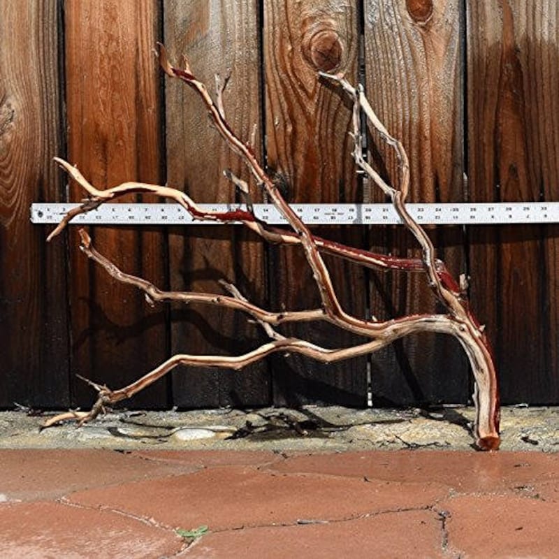Top 10 Manzanita Driftwood Branches 2027