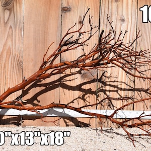 Xlg Red Manzanita Driftwood aquarium centerpiece WYSIWYG Multiple choices