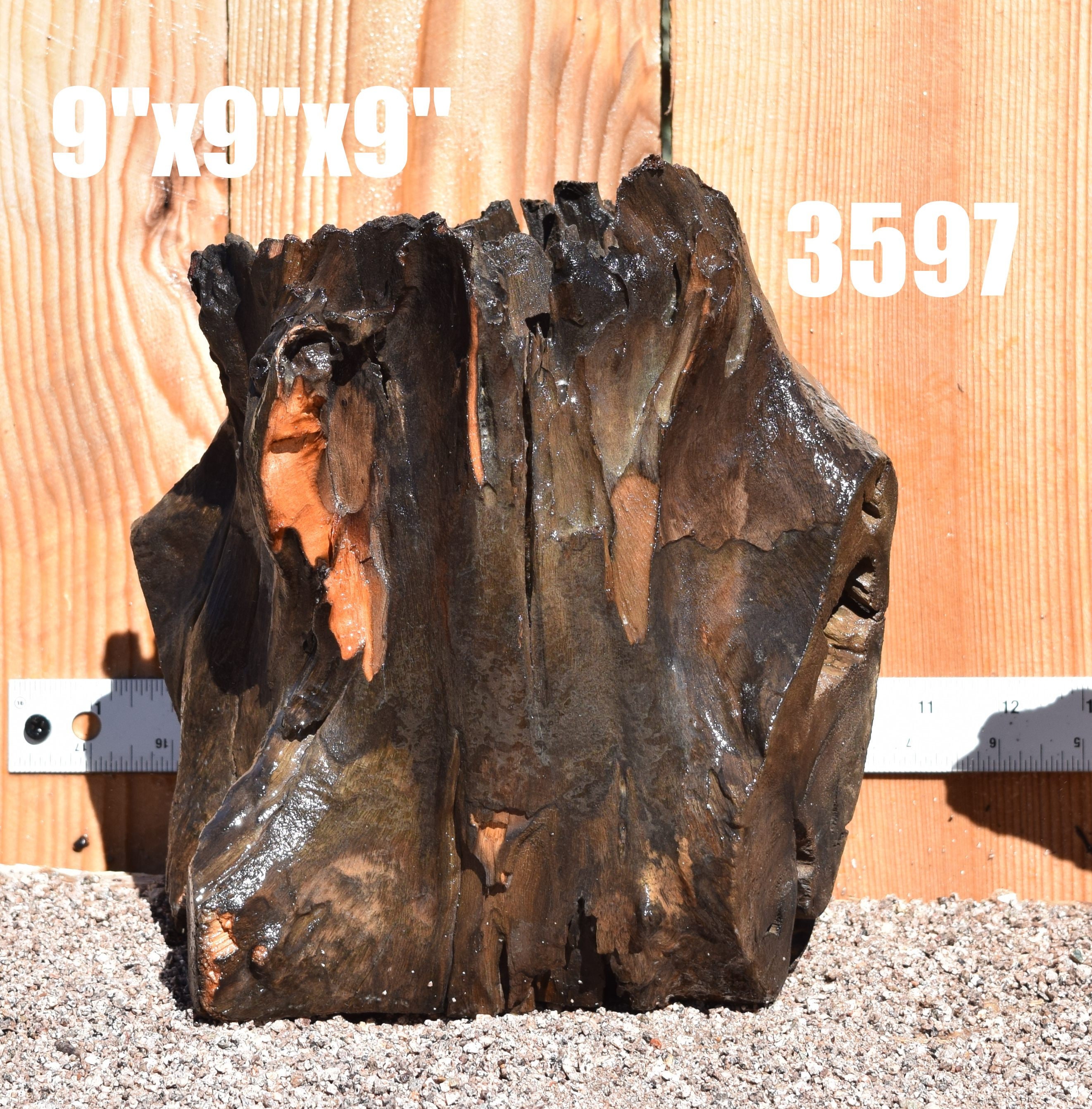 Stump Driftwood aquarium centerpiece WYSIWYG ( moss plant aquarium ) Multiple choices