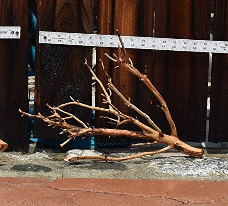 1216 MANZANITA DRIFTWOOD Buy 2 Get 1 FREE Etsy