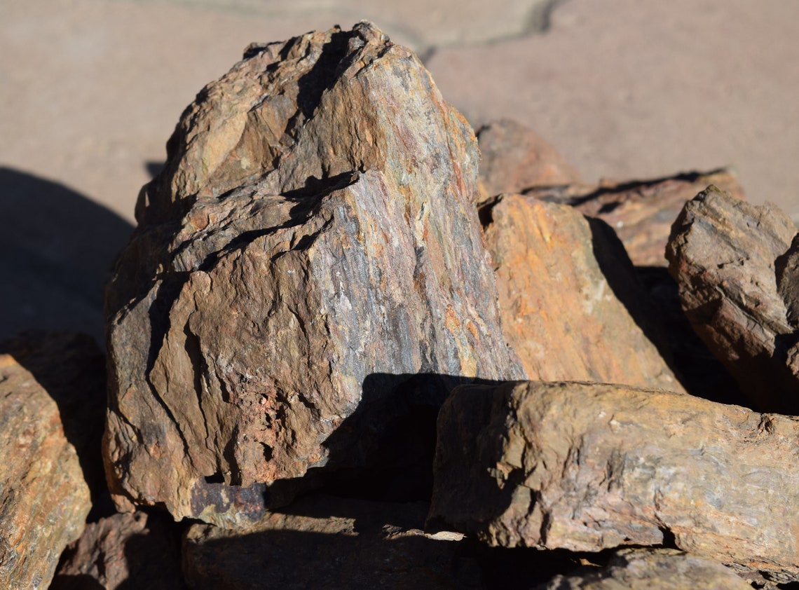 PETRIFIED WOOD Great Aquarium Decor or Bonsai Stones Etsy