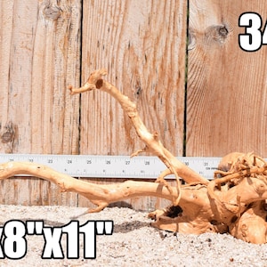 Spiderwood Driftwood aquarium centerpiece WYSIWYG ( moss plant aquarium ) Multiple choices Spiderwood 3447
