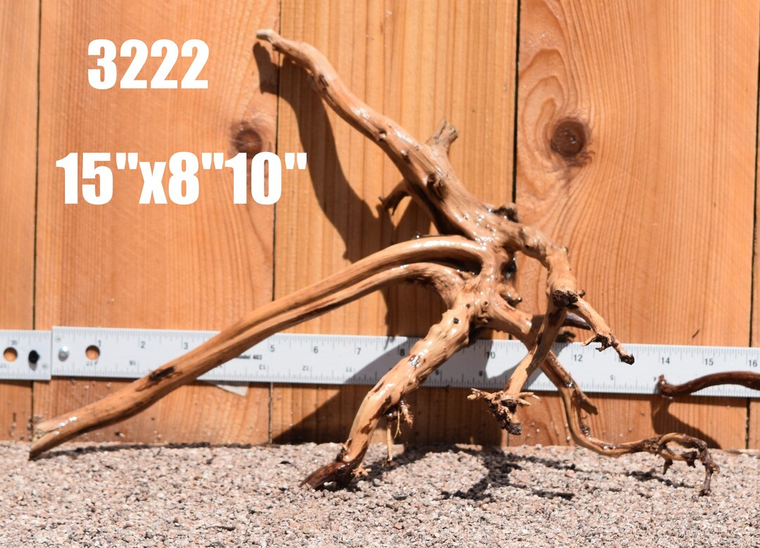 Tigerwood Driftwood Aquarium Centerpiece WYSIWYG Moss Plant Etsy