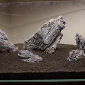 SEIRYU STONE great aquarium decor or Bonsai stones