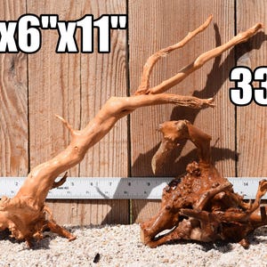 Spiderwood Driftwood aquarium centerpiece WYSIWYG ( moss plant aquarium ) Multiple choices Spiderwood 3320