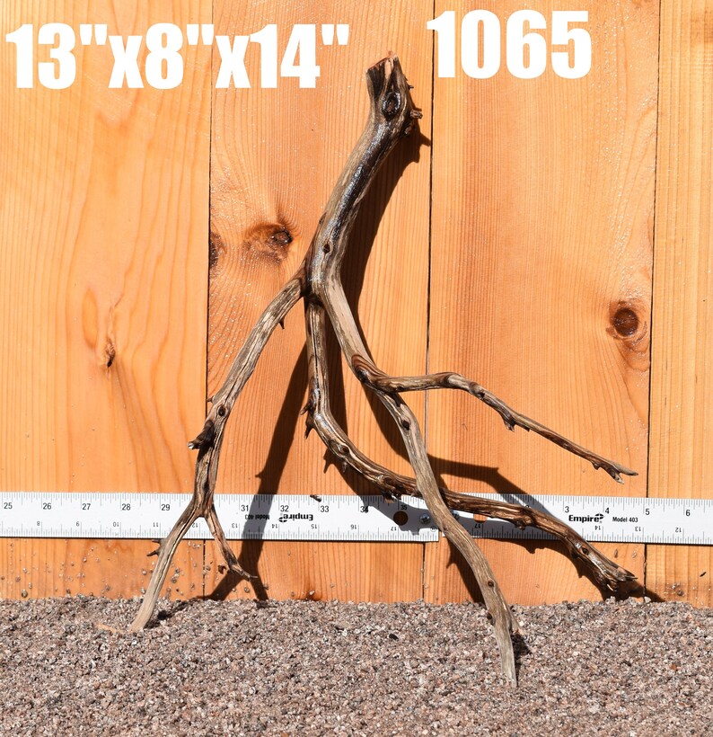 MANZANITA Driftwood Aquarium Centerpiece WYSIWYG Moss Plant Etsy