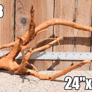Spiderwood Driftwood aquarium centerpiece WYSIWYG ( moss plant aquarium ) Multiple choices Spiderwood 3448