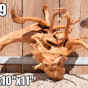 Spiderwood Driftwood aquarium centerpiece WYSIWYG ( moss plant aquarium ) Multiple choices Spiderwood 3449
