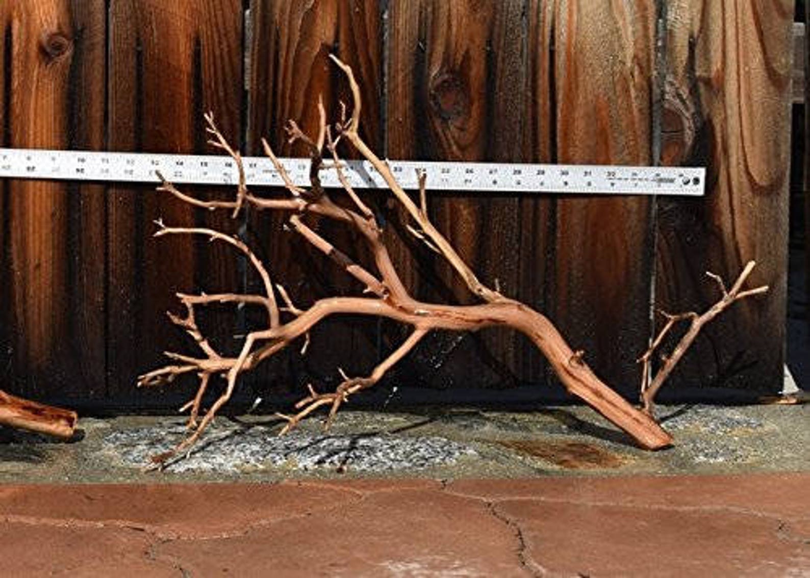 1620 MANZANITA DRIFTWOOD Buy 2 Get 1 FREE Moss Etsy