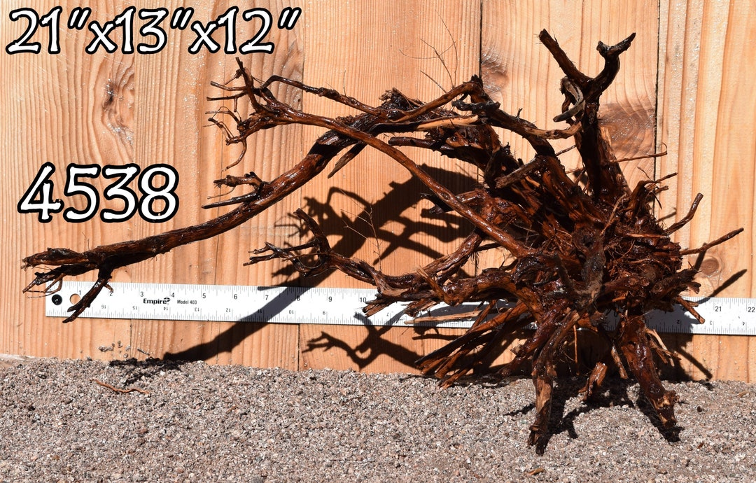 Tigerwood Driftwood Aquarium Centerpiece WYSIWYG Moss Plant Aquarium