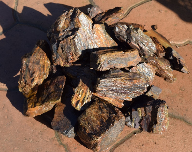 PETRIFIED WOOD great aquarium decor or Bonsai stones Etsy