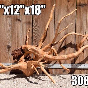 May include: A light brown piece of natural driftwood with multiple branching limbs and a dark textured center. A white ruler is positioned behind the wood, and the text 26"x12"x18" and 3085 are visible in the corners of the image.