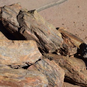 PETRIFIED WOOD great aquarium decor or Bonsai stones image 3