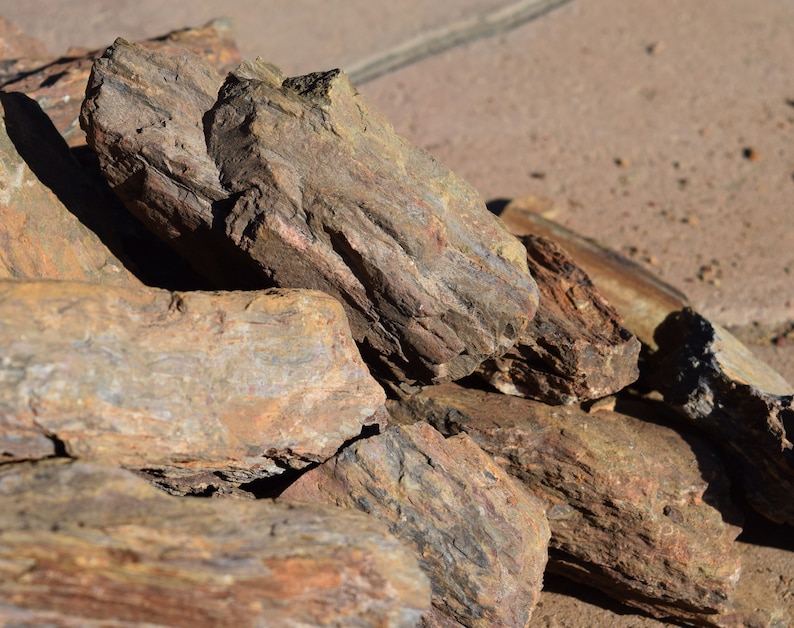 PETRIFIED WOOD great aquarium decor or Bonsai stones image 3