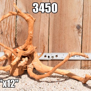 Spiderwood Driftwood aquarium centerpiece WYSIWYG ( moss plant aquarium ) Multiple choices Spiderwood 3450
