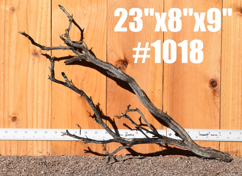 MANZANITA Driftwood Aquarium Centerpiece uncleaned WYSIWYG Etsy