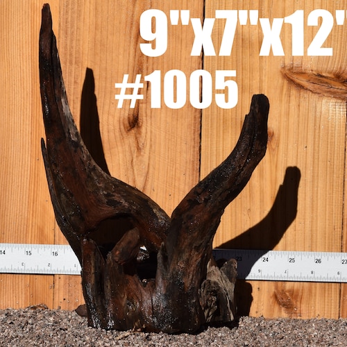 MANZANITA Driftwood Aquarium Centerpiece WYSIWYG Moss Plant Etsy