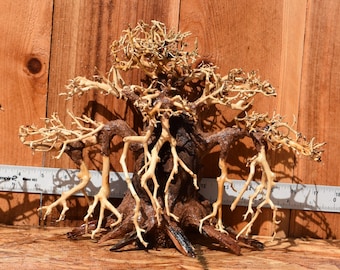 Bonsai Driftwood aquarium centerpiece ( moss plant aquarium ).