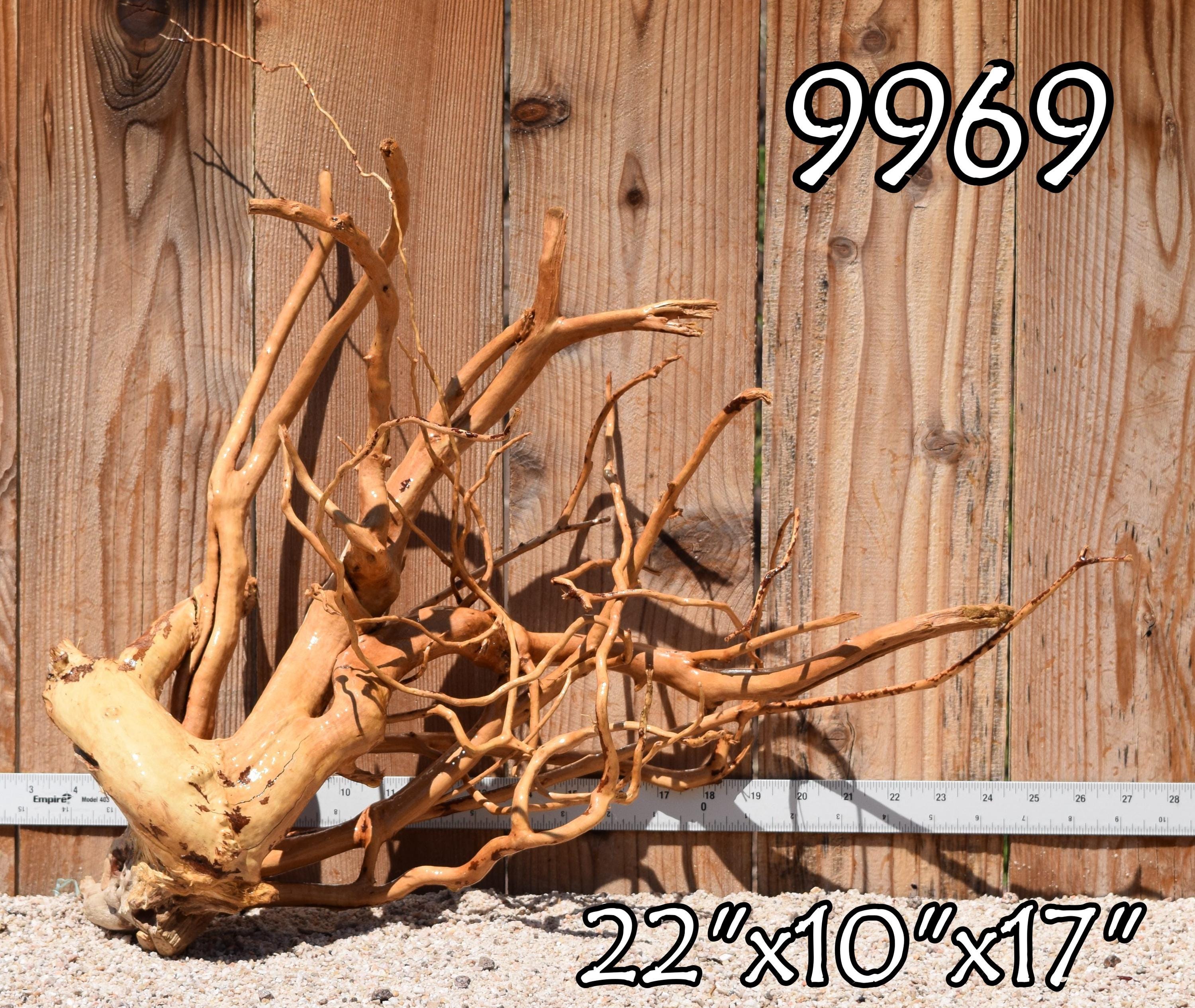 Xlg Spiderwood Driftwood aquarium centerpiece WYSIWYG Multiple choices