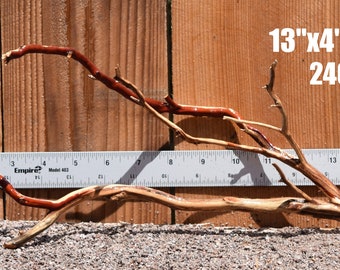 NANO MANZANITA Driftwood aquarium centerpiece WYSIWYG ( moss plant aquarium ) Multiple choices