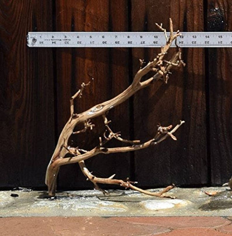 1216 MANZANITA DRIFTWOOD Buy 2 Get 1 FREE Moss Etsy UK