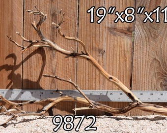 MANZANITA Driftwood aquarium centerpiece WYSIWYG ( moss plant aquarium ) Multiple choices
