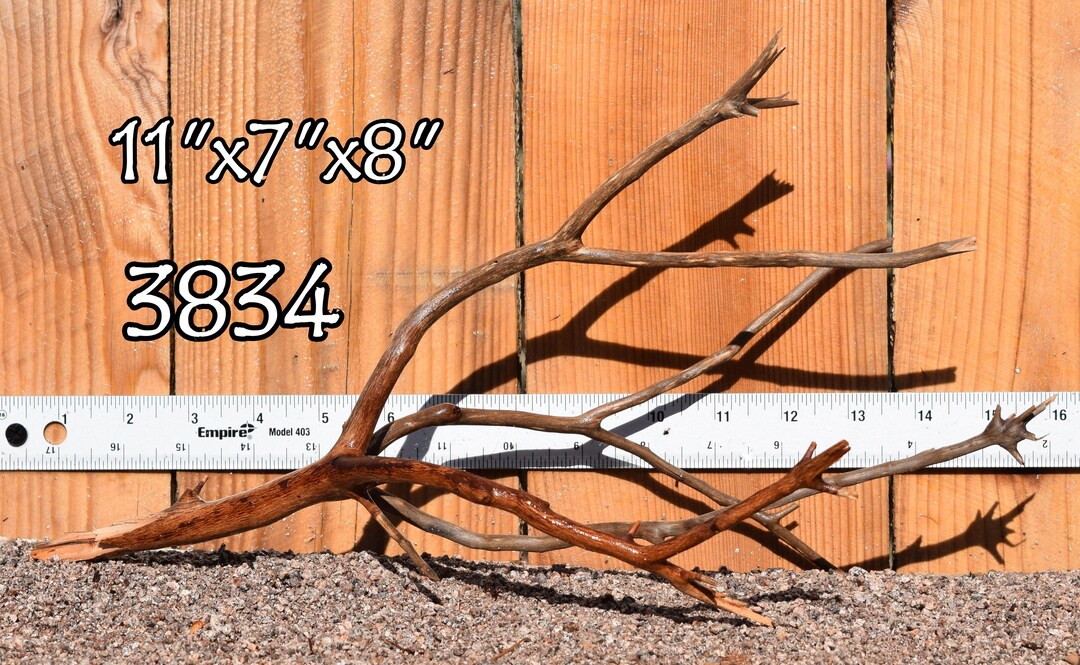 NANO Manzanita Driftwood Aquarium Centerpiece WYSIWYG Moss Etsy