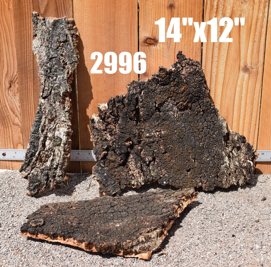 Cork Bark Flats Aquarium Centerpiece WYSIWYG Moss Plant Aquarium