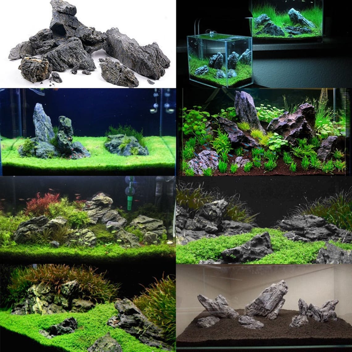 SEIRYU STONE great aquarium decor or Bonsai stones Etsy